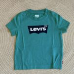 𝑳𝒆𝒗𝒊’𝒔 𝑲𝒊𝒅𝒔
T-Shirt basic porcelain green art.157-F4U