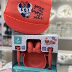 SET PAPPA IN SILICONE + BAVETTA IN SILICONE DISNEY